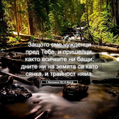 Picture 05 - 1 Летописи 29:15 BULG - Защото сме чужденци пред - Bible Verse Picture