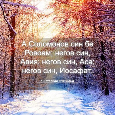 Picture 05 - 1 Летописи 3:10 BULG - А Соломонов син бе Ровоам; - Bible Verse Picture