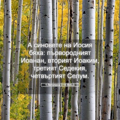Picture 05 - 1 Летописи 3:15 BULG - А синовете на Иосия бяха: - Bible Verse Picture