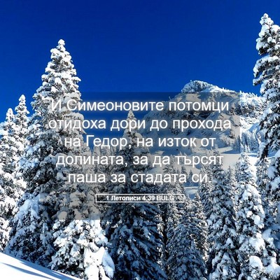 Picture 05 - 1 Летописи 4:39 BULG - И Симеоновите потомци - Bible Verse Picture