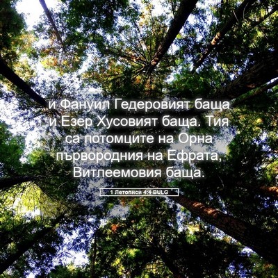 Picture 05 - 1 Летописи 4:4 BULG - и Фануил Гедеровият баща и - Bible Verse Picture
