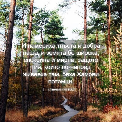 Picture 05 - 1 Летописи 4:40 BULG - И намериха тлъста и добра - Bible Verse Picture