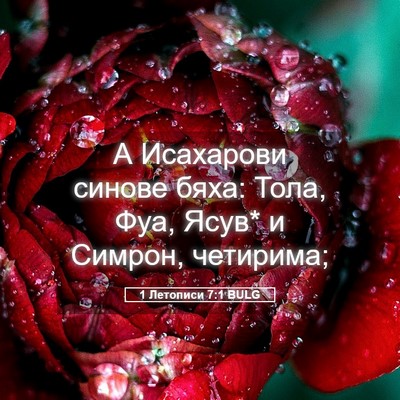 Picture 05 - 1 Летописи 7:1 BULG - А Исахарови синове бяха: - Bible Verse Picture