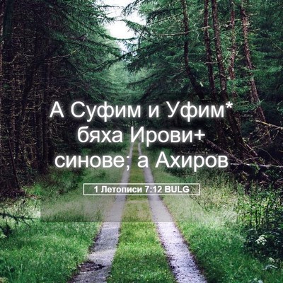 Picture 05 - 1 Летописи 7:12 BULG - А Суфим и Уфим* бяха Ирови+ - Bible Verse Picture