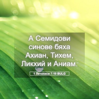 Picture 05 - 1 Летописи 7:19 BULG - А Семидови синове бяха - Bible Verse Picture