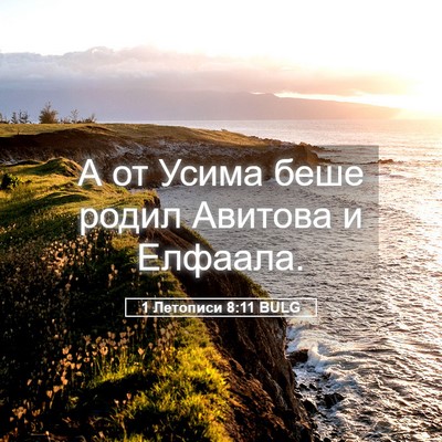 Picture 05 - 1 Летописи 8:11 BULG - А от Усима беше родил - Bible Verse Picture