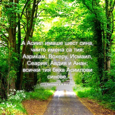 Picture 05 - 1 Летописи 8:38 BULG - А Асиил имаше шест сина, - Bible Verse Picture