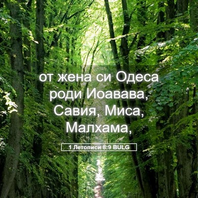 Picture 05 - 1 Летописи 8:9 BULG - от жена си Одеса роди - Bible Verse Picture