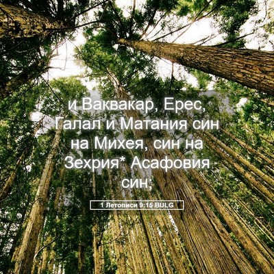 Picture 05 - 1 Летописи 9:15 BULG - и Ваквакар, Ерес, Галал и - Bible Verse Picture