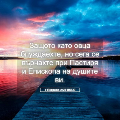 Picture 05 - 1 Петрово 2:25 BULG - Защото като овца - Bible Verse Picture