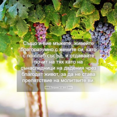 Picture 05 - 1 Петрово 3:7 BULG - Също и вие мъжете, живейте - Bible Verse Picture