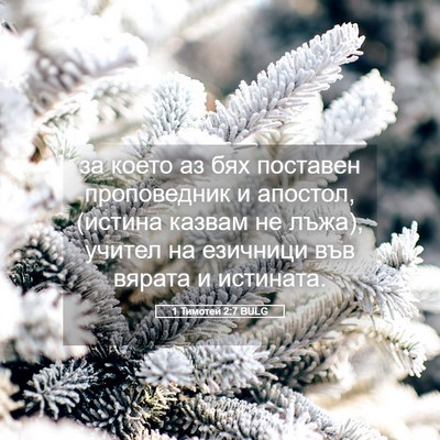 Picture 05 - 1 Тимотей 2:7 BULG - за което аз бях поставен - Bible Verse Picture