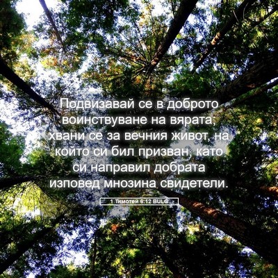 Picture 05 - 1 Тимотей 6:12 BULG - Подвизавай се в доброто - Bible Verse Picture