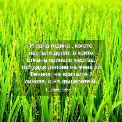 Picture 05 - 1 Царе 1:4 BULG - И една година , когато - Bible Verse Picture