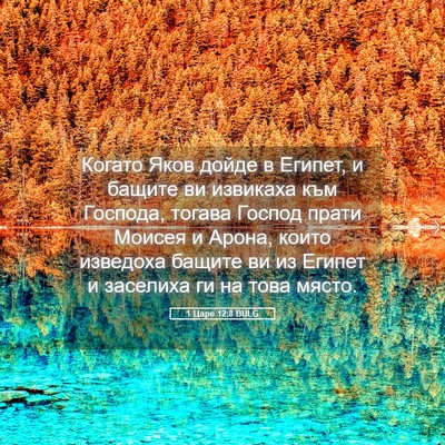 Picture 05 - 1 Царе 12:8 BULG - Когато Яков дойде в Египет, - Bible Verse Picture