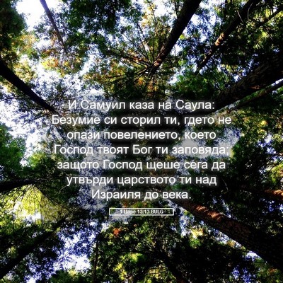 Picture 05 - 1 Царе 13:13 BULG - И Самуил каза на Саула: - Bible Verse Picture