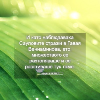 Picture 05 - 1 Царе 14:16 BULG - И като наблюдаваха - Bible Verse Picture