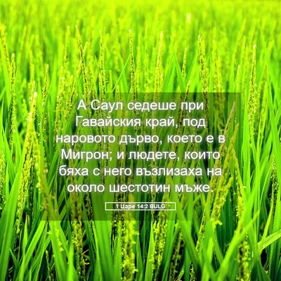 Picture 05 - 1 Царе 14:2 BULG - А Саул седеше при - Bible Verse Picture