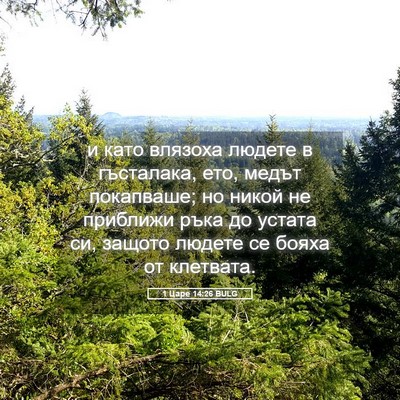 Picture 05 - 1 Царе 14:26 BULG - и като влязоха людете в - Bible Verse Picture