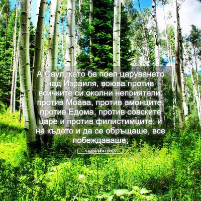 Picture 05 - 1 Царе 14:47 BULG - А Саул, като бе поел - Bible Verse Picture