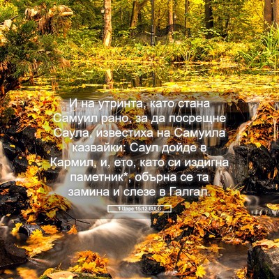 Picture 05 - 1 Царе 15:12 BULG - И на утринта, като стана - Bible Verse Picture