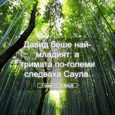 Picture 05 - 1 Царе 17:14 BULG - Давид беше най-младият; а - Bible Verse Picture