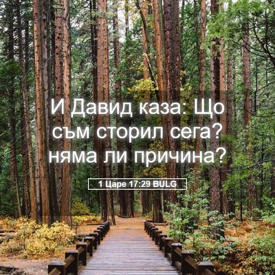 Picture 05 - 1 Царе 17:29 BULG - И Давид каза: Що съм сторил - Bible Verse Picture
