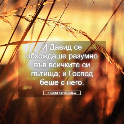Picture 05 - 1 Царе 18:14 BULG - И Давид се обхождаше - Bible Verse Picture