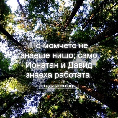 Picture 05 - 1 Царе 20:39 BULG - Но момчето не знаеше нищо; - Bible Verse Picture
