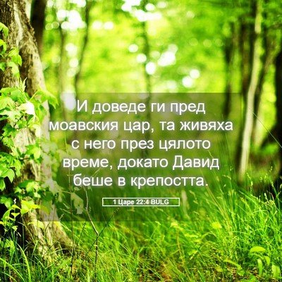 Picture 05 - 1 Царе 22:4 BULG - И доведе ги пред моавския - Bible Verse Picture