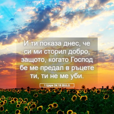 Picture 05 - 1 Царе 24:18 BULG - И ти показа днес, че си ми - Bible Verse Picture