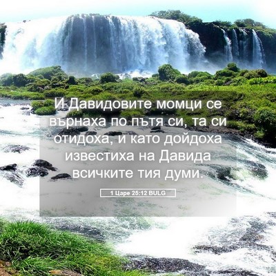 Picture 05 - 1 Царе 25:12 BULG - И Давидовите момци се - Bible Verse Picture