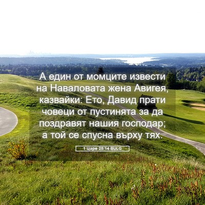 Picture 05 - 1 Царе 25:14 BULG - А един от момците извести - Bible Verse Picture
