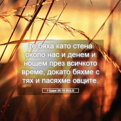 Picture 05 - 1 Царе 25:16 BULG - те бяха като стена около - Bible Verse Picture