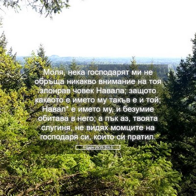 Picture 05 - 1 Царе 25:25 BULG - Моля, нека господарят ми не - Bible Verse Picture