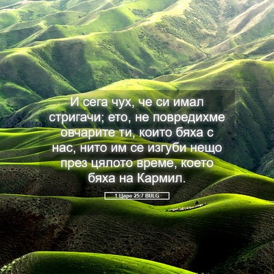 Picture 05 - 1 Царе 25:7 BULG - И сега чух, че си имал - Bible Verse Picture