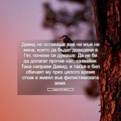Picture 05 - 1 Царе 27:11 BULG - Давид не оставаше жив ни - Bible Verse Picture