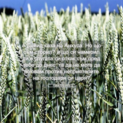 Picture 05 - 1 Царе 29:8 BULG - А Давид каза на Анхуса: Но - Bible Verse Picture