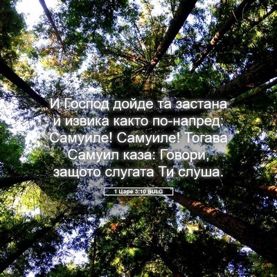 Picture 05 - 1 Царе 3:10 BULG - И Господ дойде та застана и - Bible Verse Picture