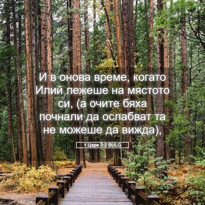 Picture 05 - 1 Царе 3:2 BULG - И в онова време, когато - Bible Verse Picture