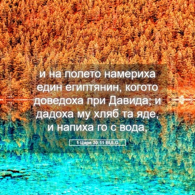 Picture 05 - 1 Царе 30:11 BULG - и на полето намериха един - Bible Verse Picture