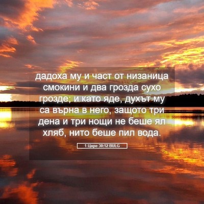 Picture 05 - 1 Царе 30:12 BULG - дадоха му и част от - Bible Verse Picture