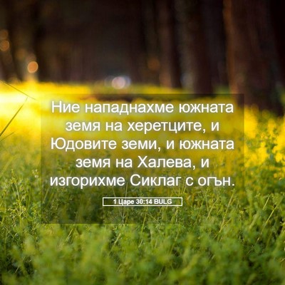 Picture 05 - 1 Царе 30:14 BULG - Ние нападнахме южната земя - Bible Verse Picture