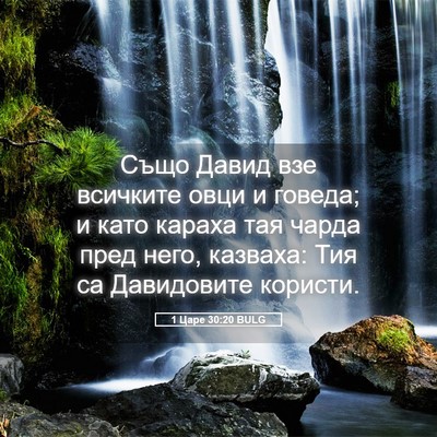 Picture 05 - 1 Царе 30:20 BULG - Също Давид взе всичките - Bible Verse Picture
