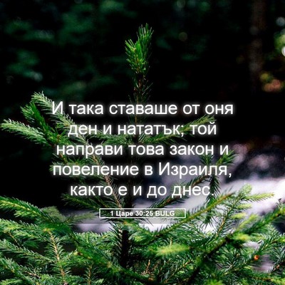 Picture 05 - 1 Царе 30:25 BULG - И така ставаше от оня ден и - Bible Verse Picture