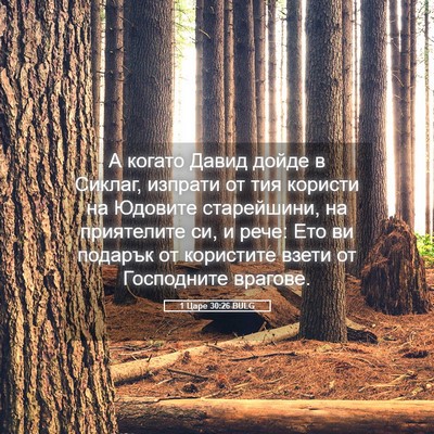 Picture 05 - 1 Царе 30:26 BULG - А когато Давид дойде в - Bible Verse Picture