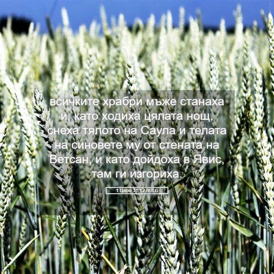 Picture 05 - 1 Царе 31:12 BULG - всичките храбри мъже - Bible Verse Picture