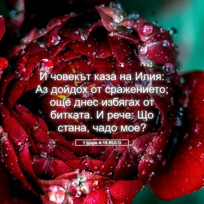 Picture 05 - 1 Царе 4:16 BULG - И човекът каза на Илия: Аз - Bible Verse Picture