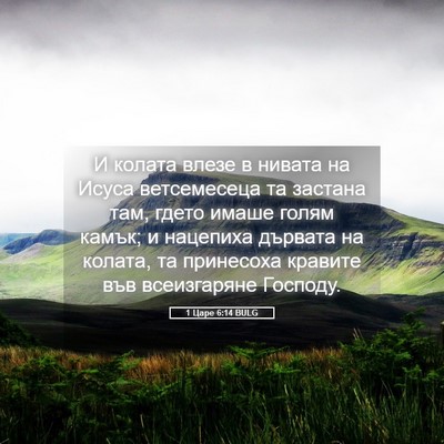 Picture 05 - 1 Царе 6:14 BULG - И колата влезе в нивата на - Bible Verse Picture