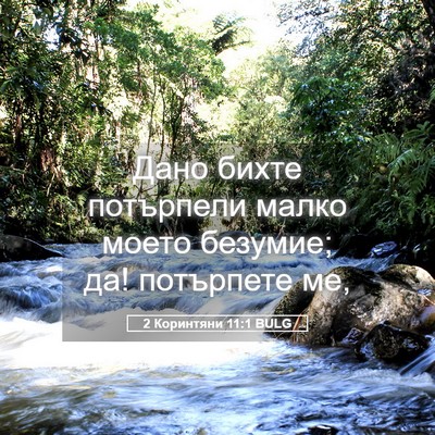 Picture 05 - 2 Коринтяни 11:1 BULG - Дано бихте потърпели малко - Bible Verse Picture